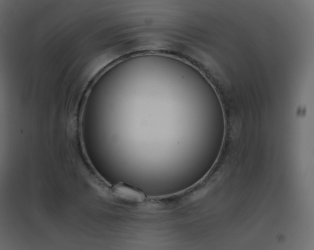 X0000096651073200802051149