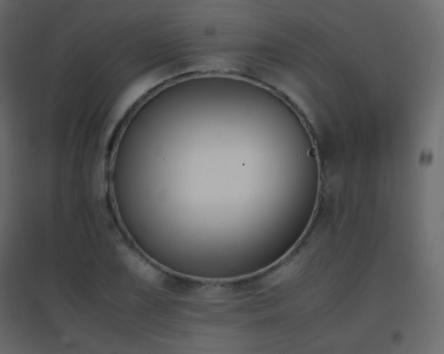 X0000096651075200802051149