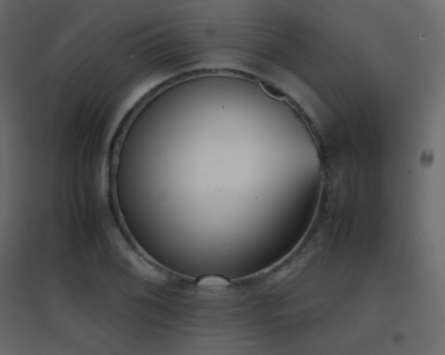 X0000096651076200802051149