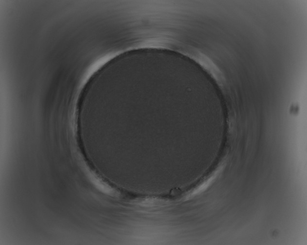 X0000096651077200802051149