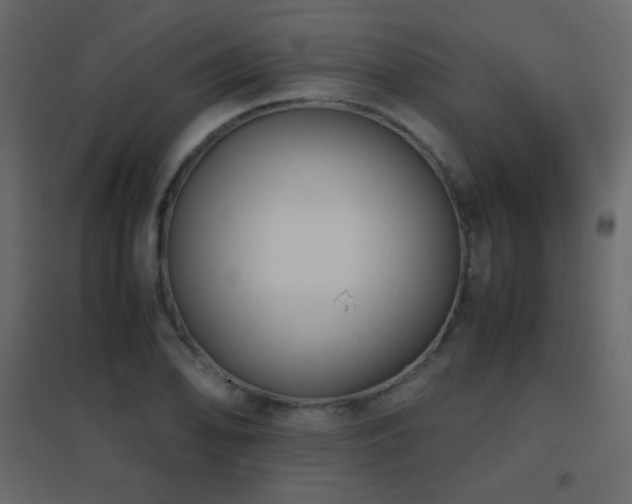 X0000096651078200802051149