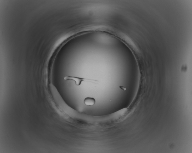 X0000096651079200802051149