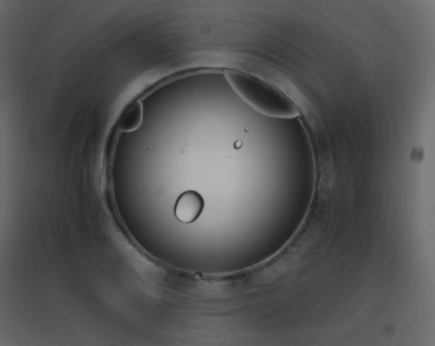 X0000096651080200802051149