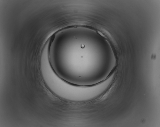 X0000096651081200802051149