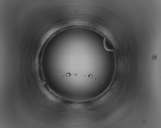 X0000096651082200802051149