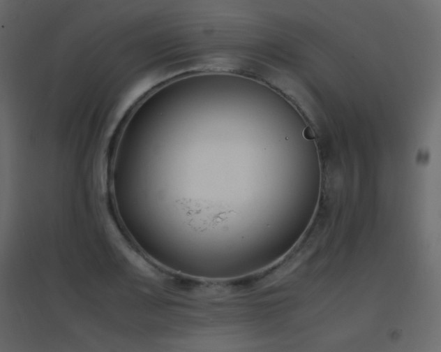 X0000096651083200802051149