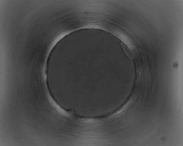 X0000096651084200802051149