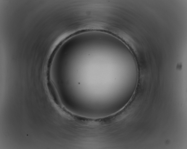 X0000096651085200802051149