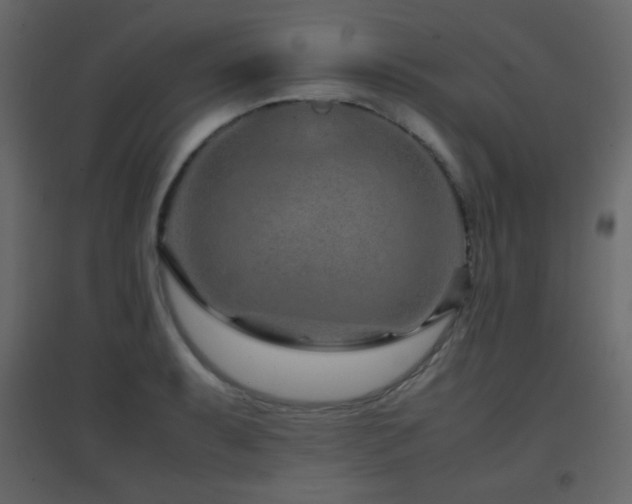 X0000096651087200802051149