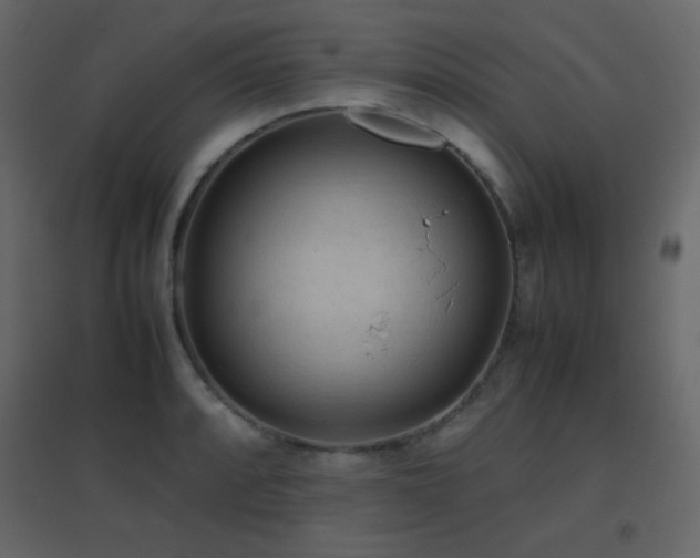 X0000096651088200802051149