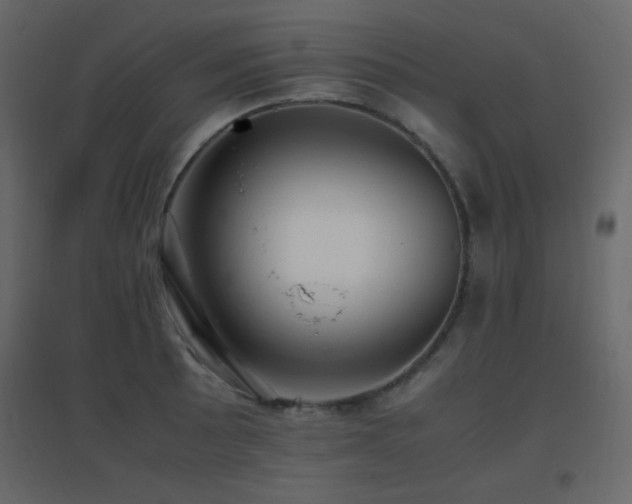 X0000096651089200802051149