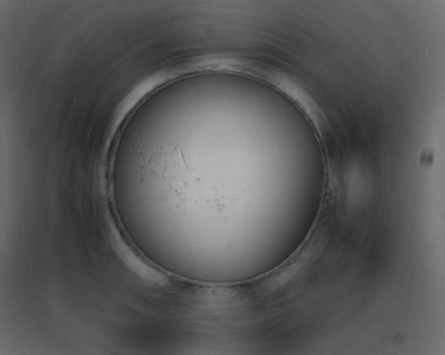 X0000096651090200802051149
