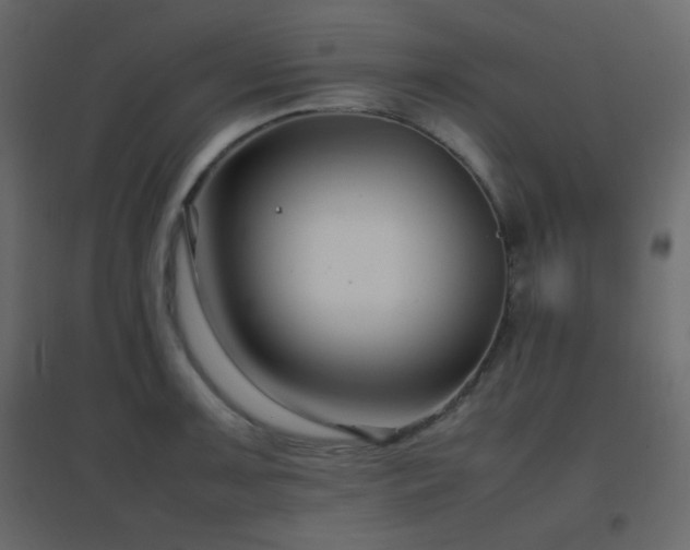 X0000096651091200802051149