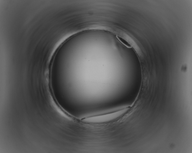 X0000096651092200802051149