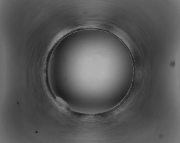 X0000096651093200802051149