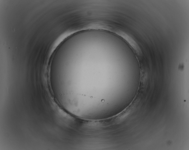 X0000096651094200802051149