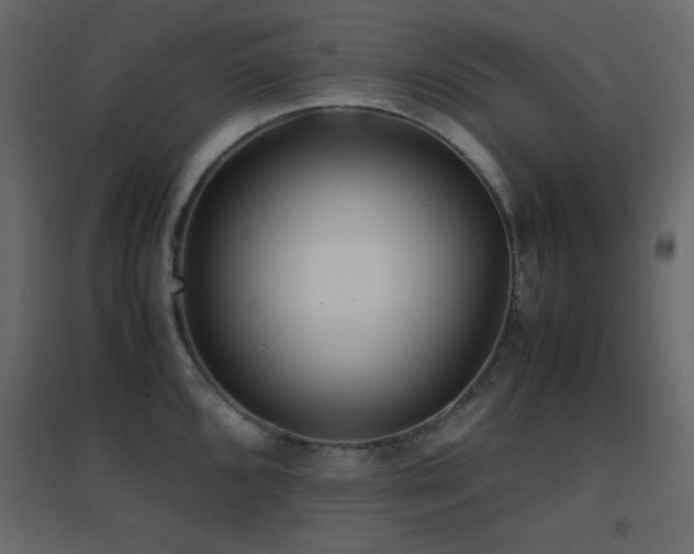 X0000096651096200802051149