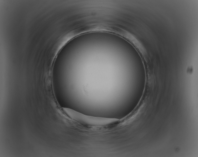 X0000096651097200802051149