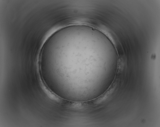 X0000096651098200802051149