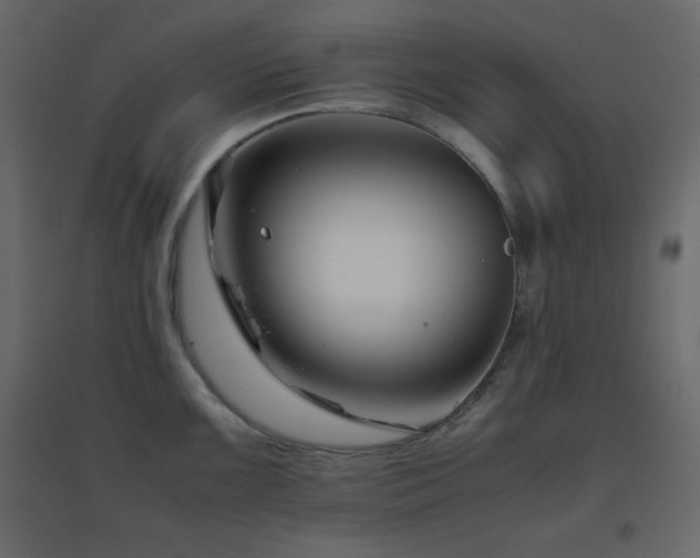 X0000096651099200802051149