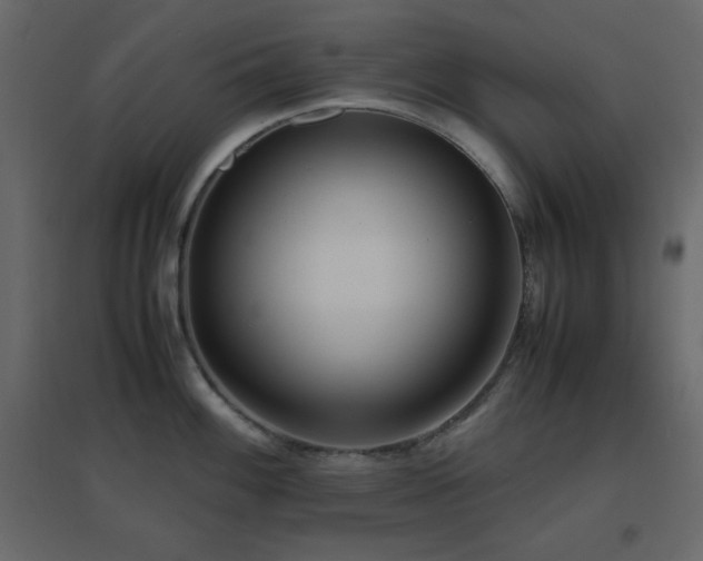 X0000096651100200802051149
