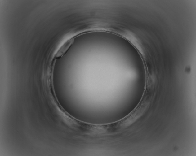 X0000096651101200802051149