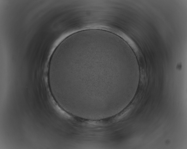 X0000096651102200802051149