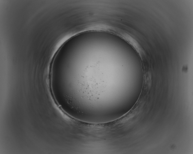 X0000096651103200802051149