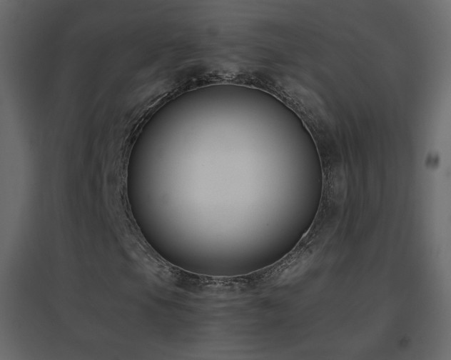 X0000096651105200802051148