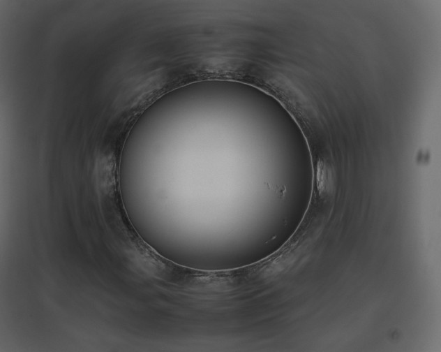 X0000096651107200802051148