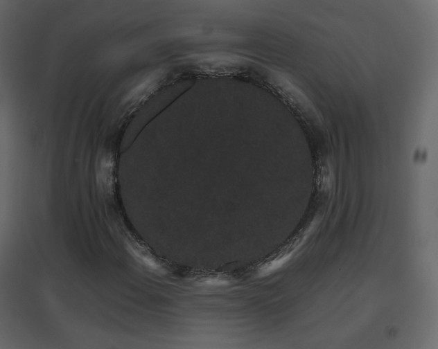 X0000096651108200802051148