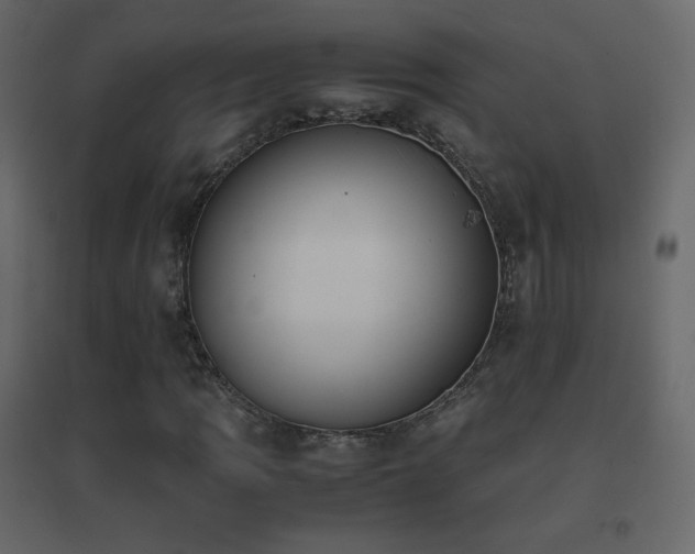 X0000096651109200802051148