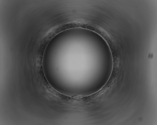 X0000096651110200802051148