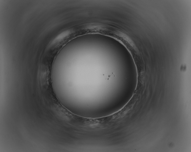 X0000096651111200802051148