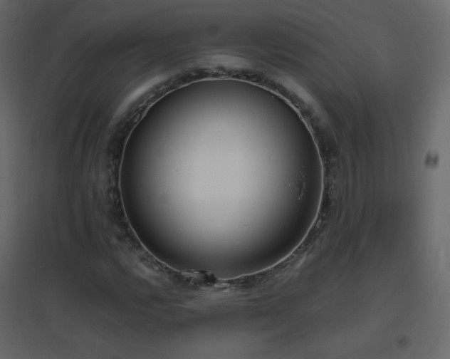 X0000096651112200802051148