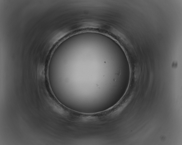 X0000096651113200802051148