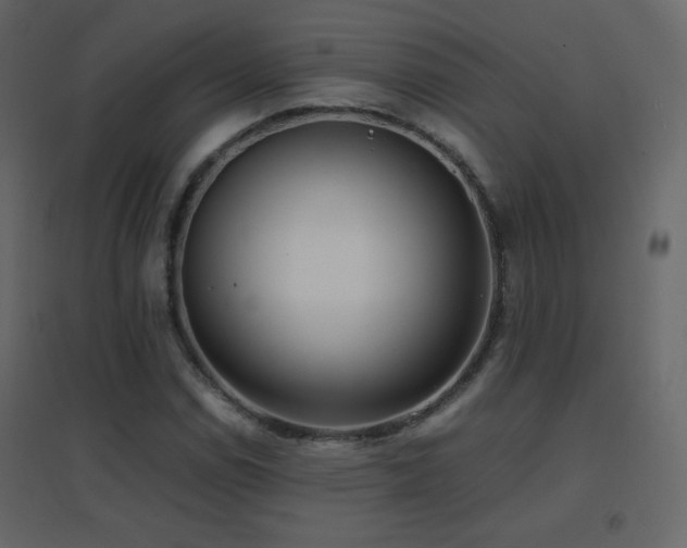 X0000096651114200802051148
