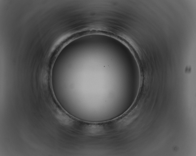 X0000096651115200802051148