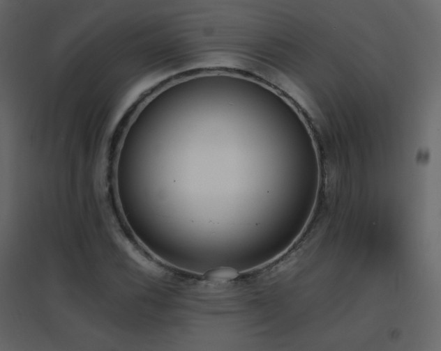 X0000096651116200802051148