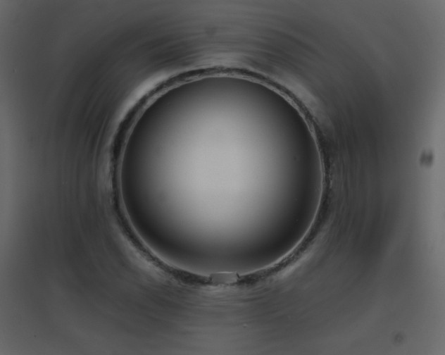 X0000096651118200802051148