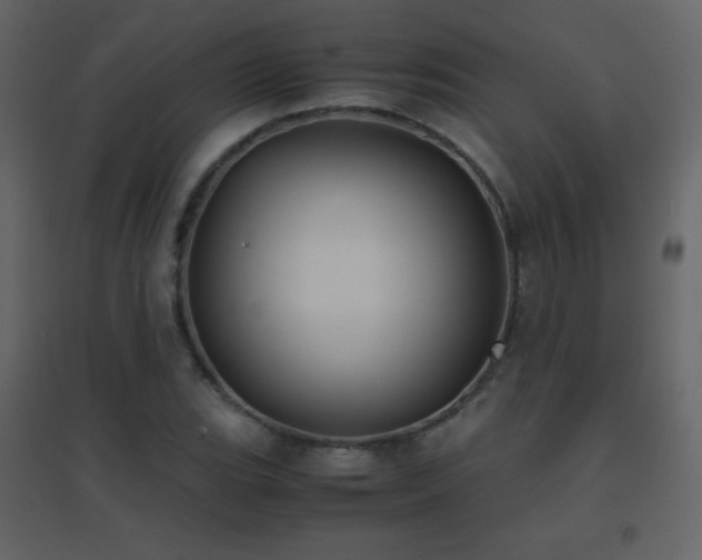 X0000096651119200802051148