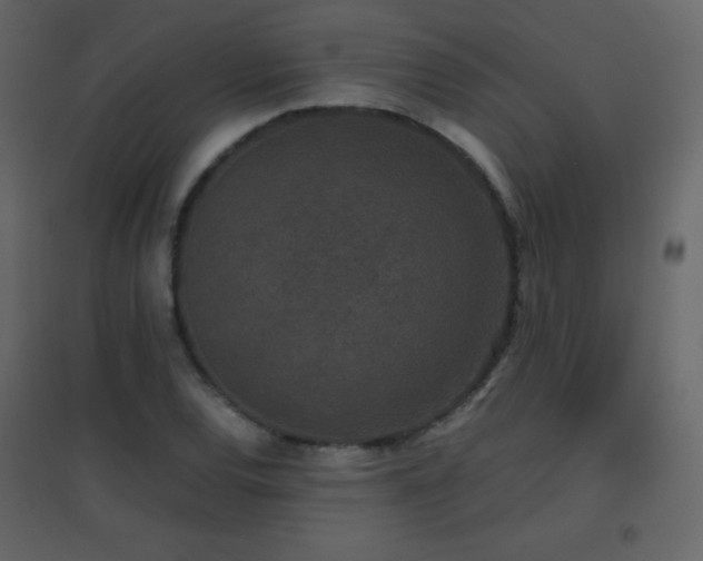 X0000096651120200802051148