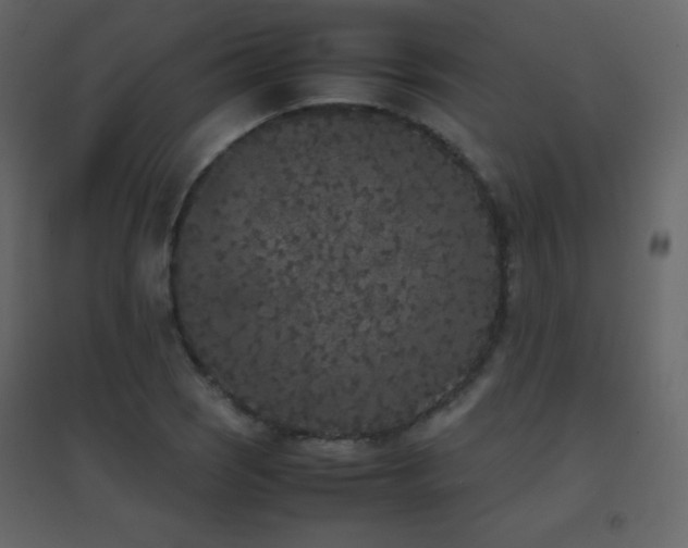 X0000096651121200802051148
