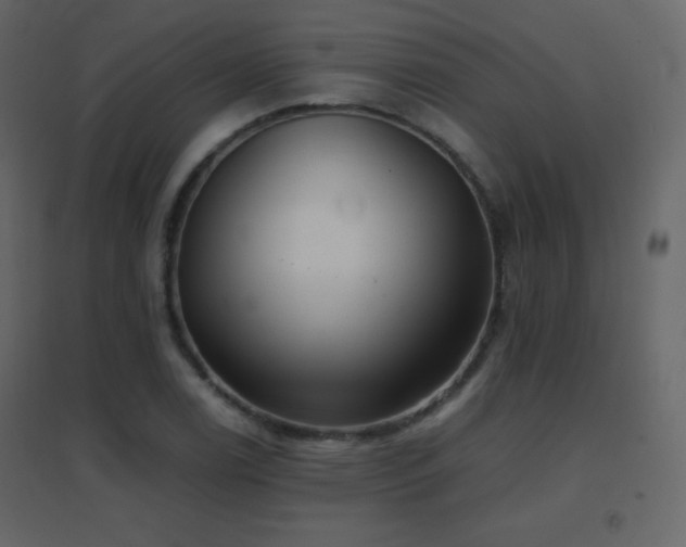 X0000096651122200802051148