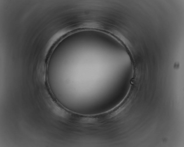 X0000096651123200802051148