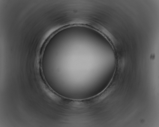 X0000096651124200802051148