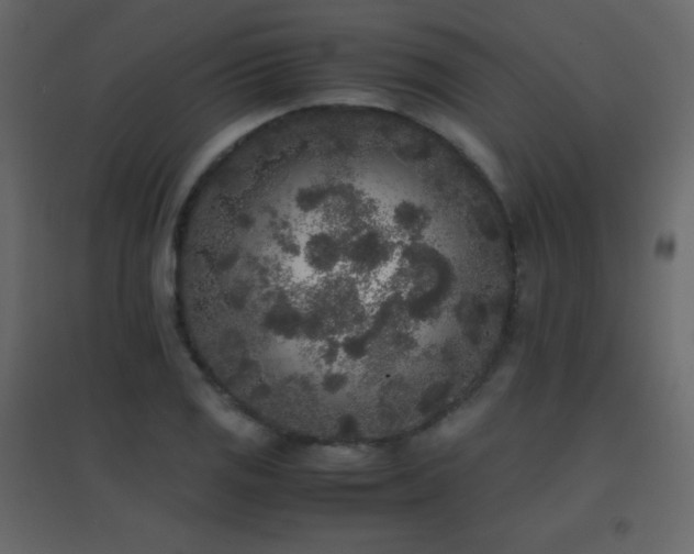 X0000096651125200802051148