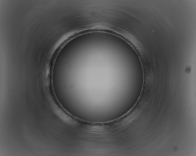 X0000096651126200802051148