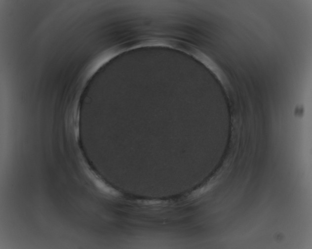 X0000096651127200802051148