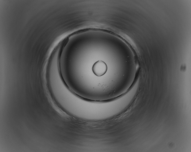 X0000096651128200802051148